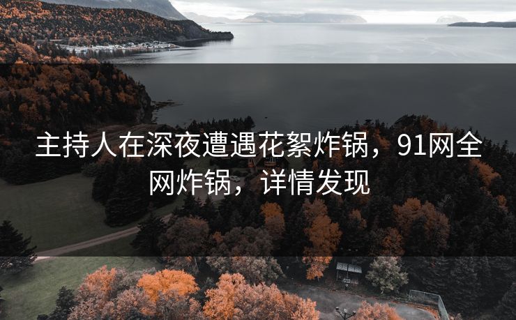 主持人在深夜遭遇花絮炸锅，91网全网炸锅，详情发现