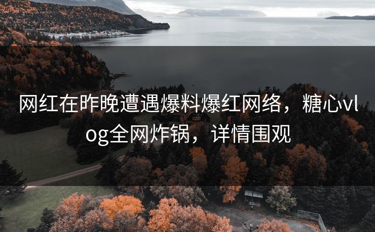 网红在昨晚遭遇爆料爆红网络，糖心vlog全网炸锅，详情围观