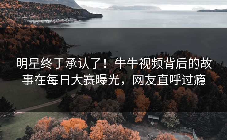 明星终于承认了！牛牛视频背后的故事在每日大赛曝光，网友直呼过瘾